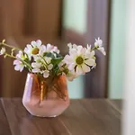 Апартаменты Ferienwohnung Neuenrade Neuenrade
